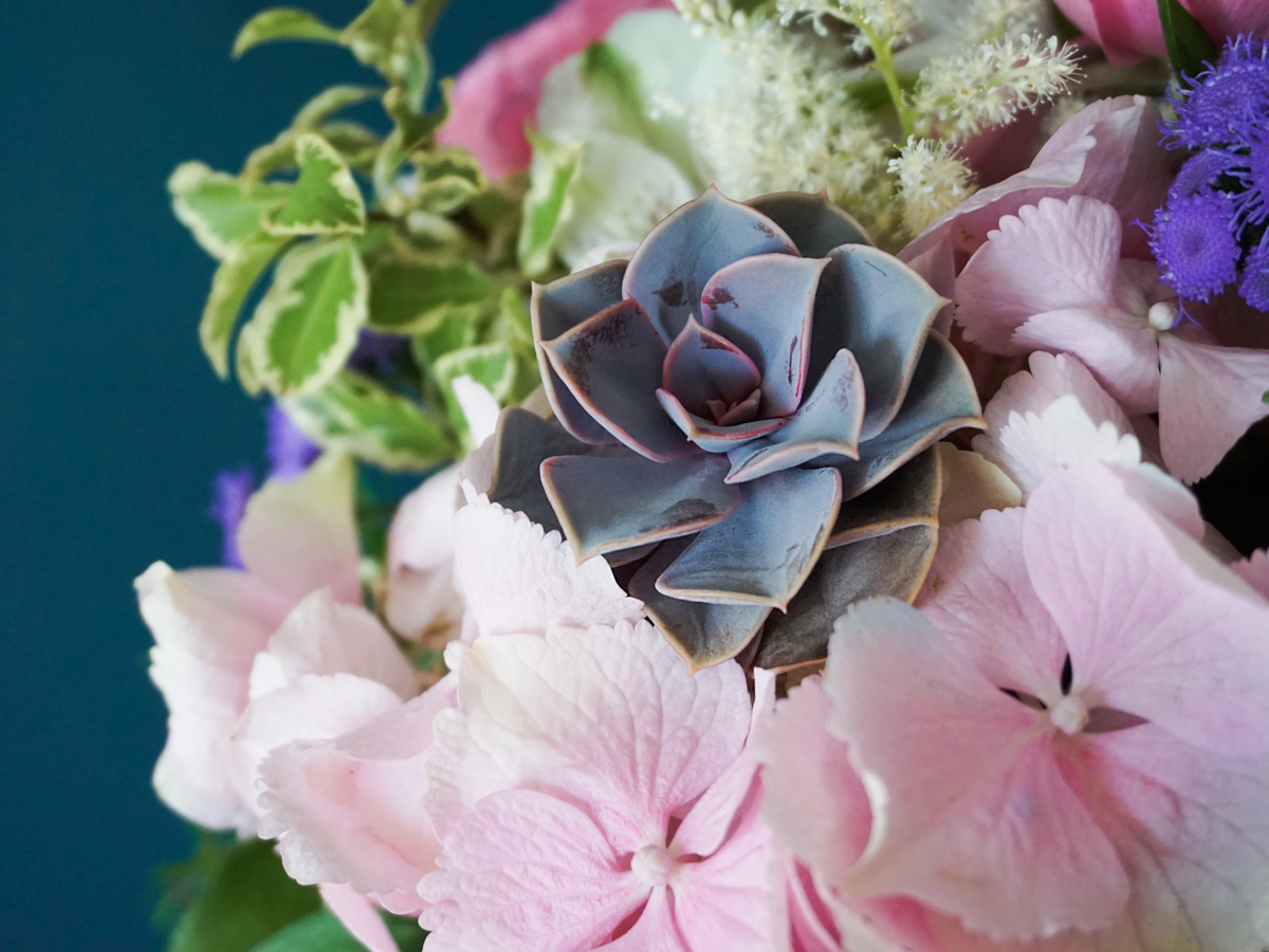 Different flowers in a box 02 |