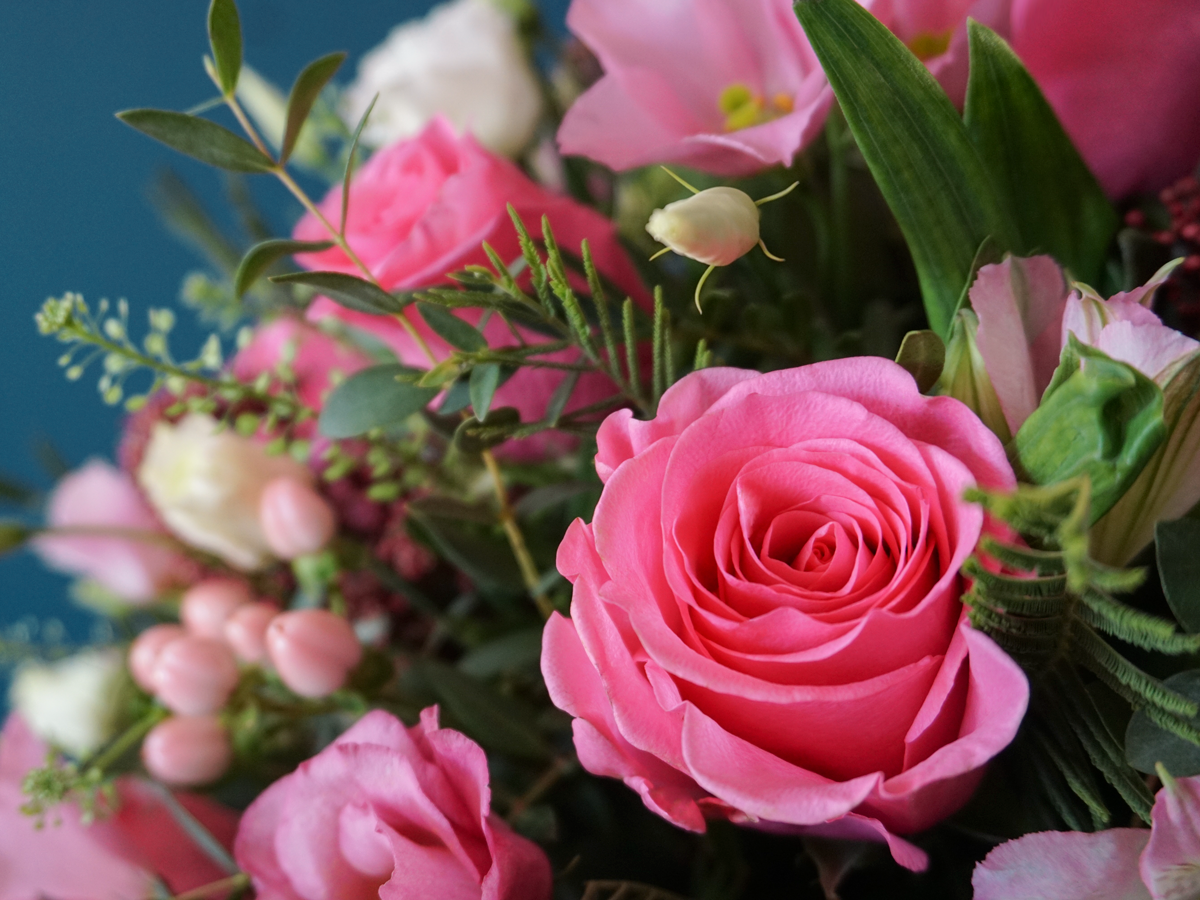 Different flowers in a box 04 |