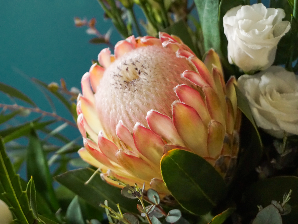 Bouquet of exotic flowers 02 |