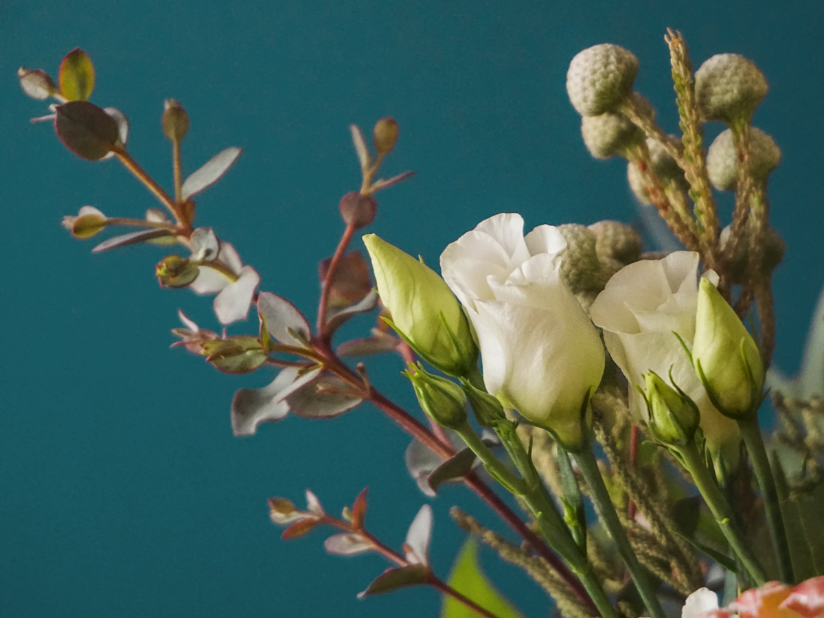 Bouquet of exotic flowers 02 |
