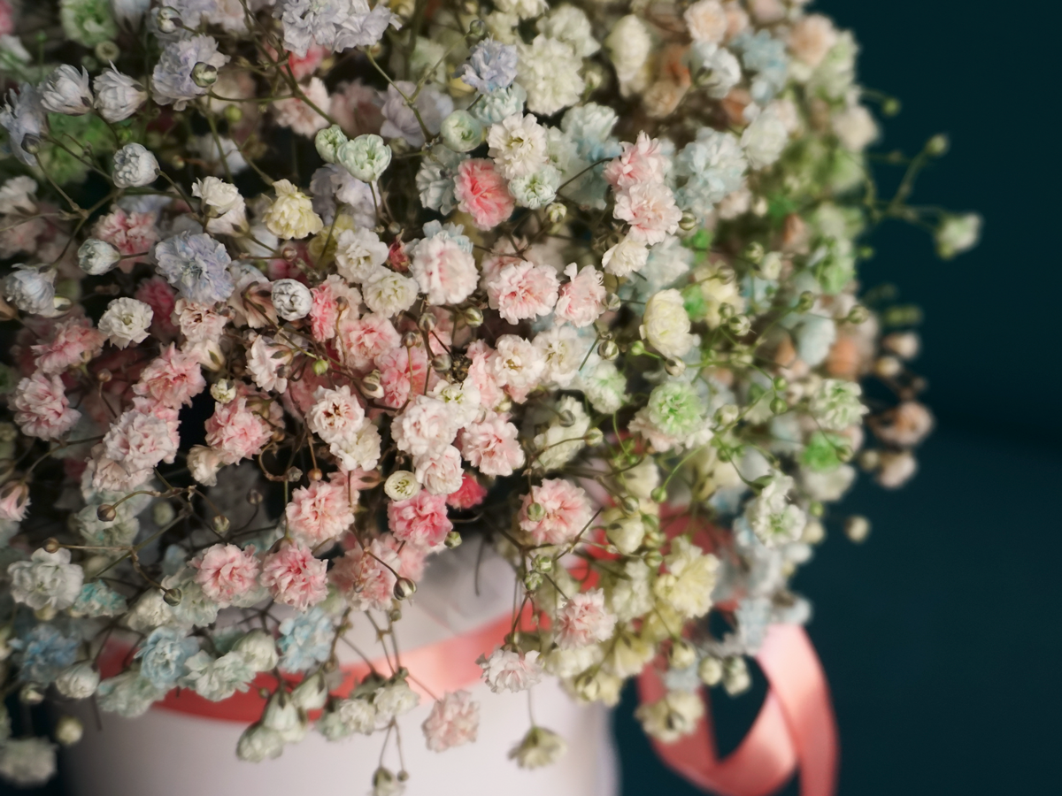 Flowers in a box 18 |