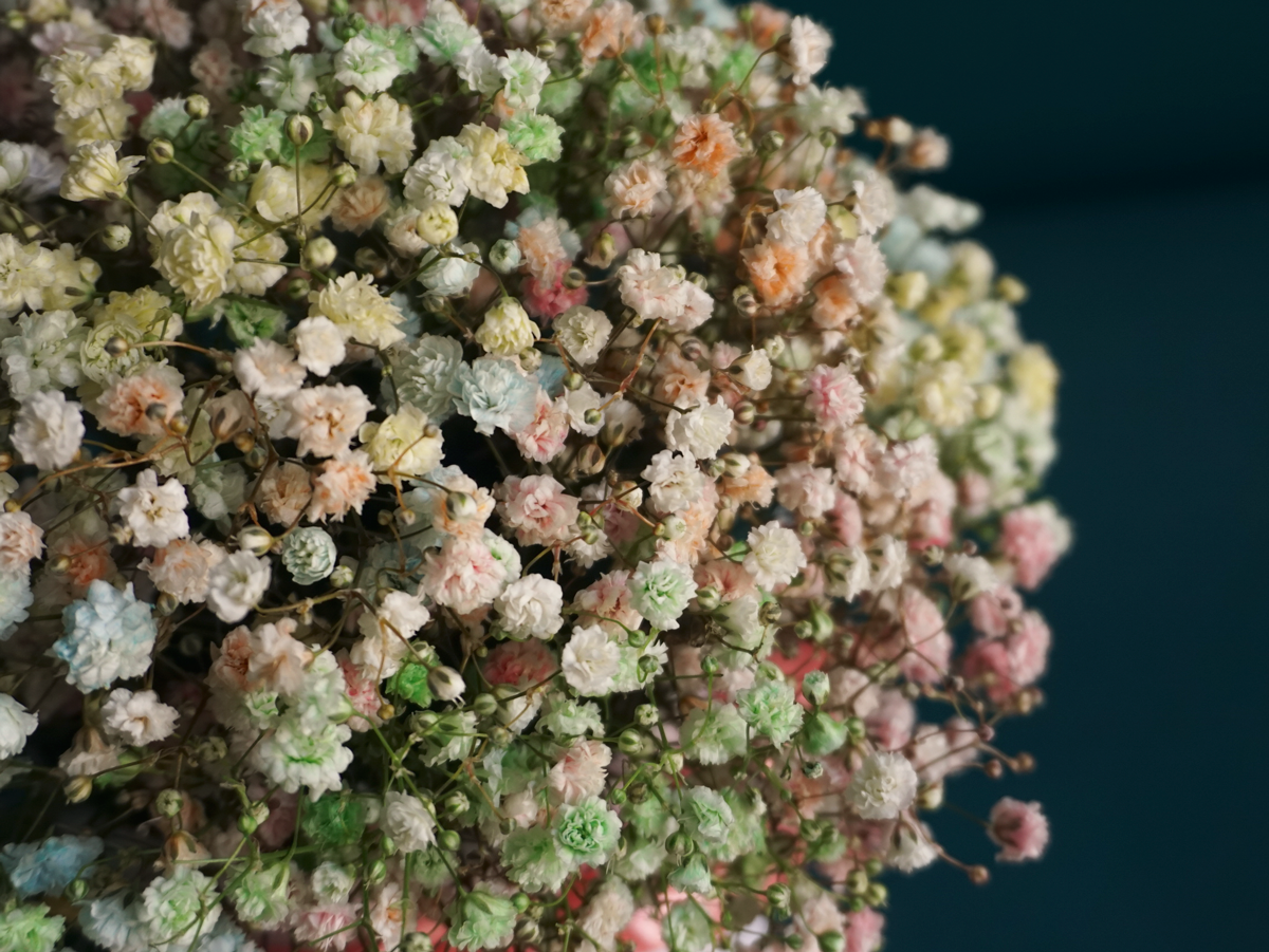 Flowers in a box 18 |