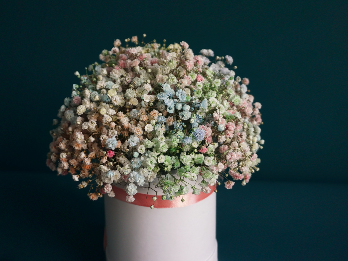 Flowers in a box 18 |