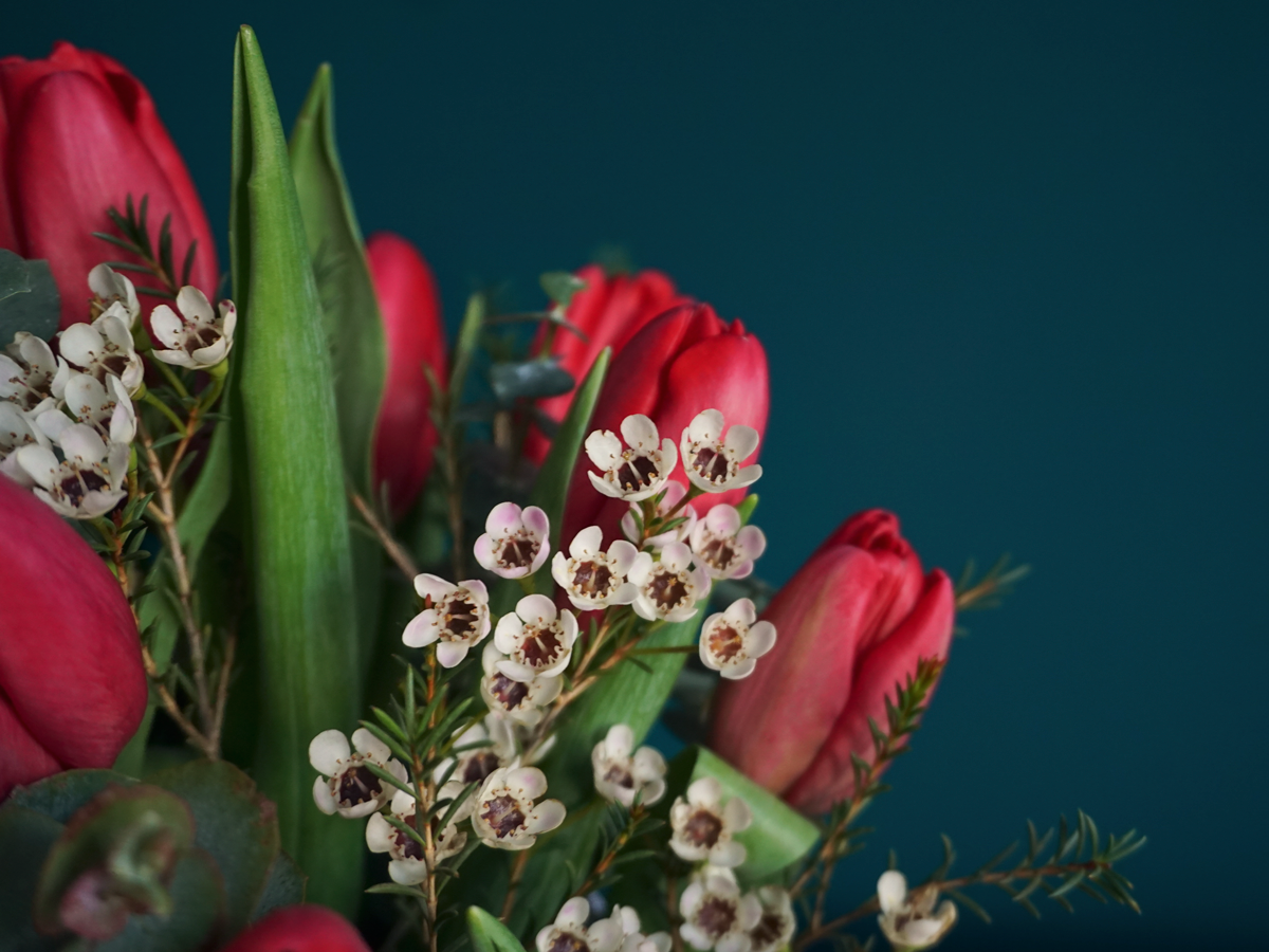 Tulpes kastē | 17 |