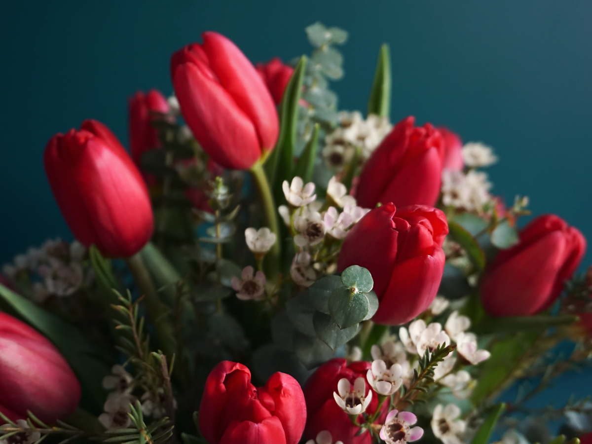Tulips in a box 17 |