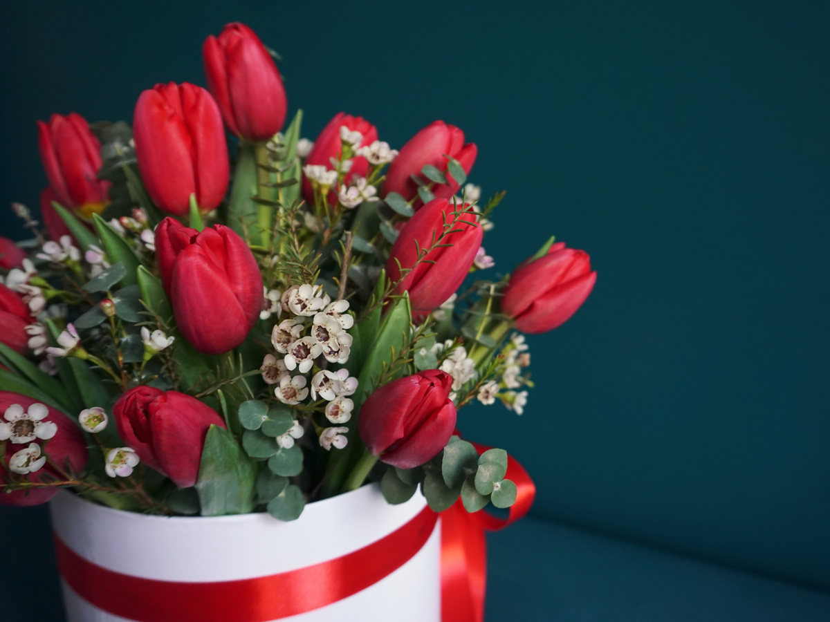 Tulpes kastē | 17 |