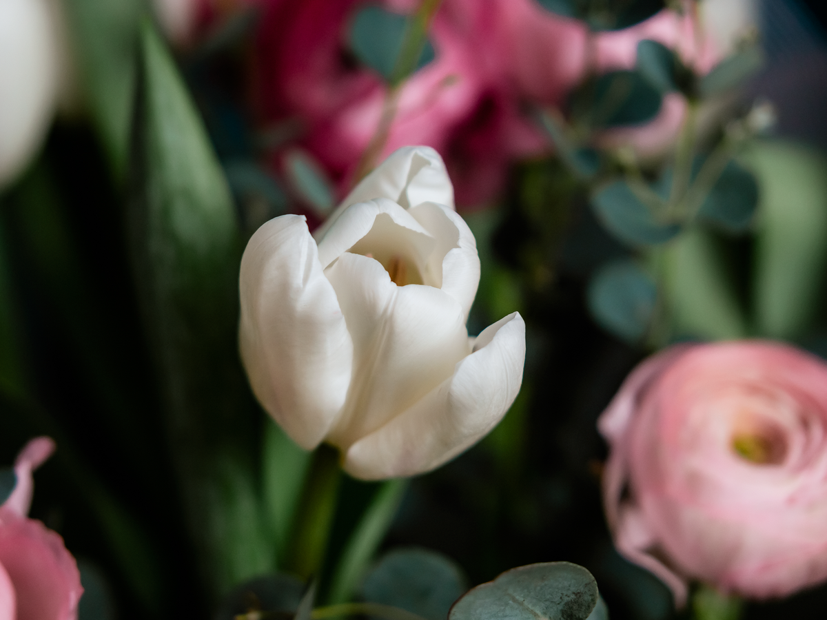 Bouquet of spring flowers 10 |