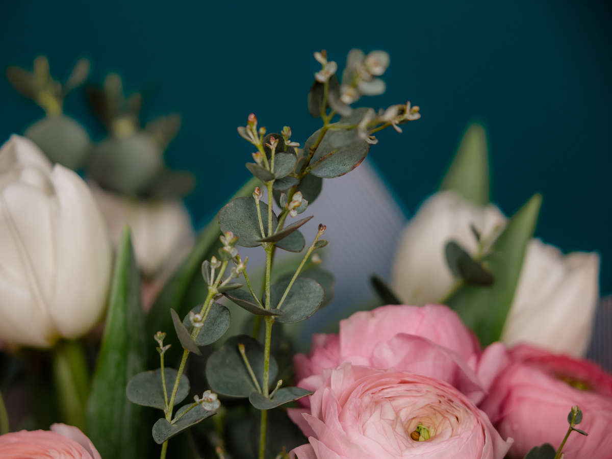 Bouquet of spring flowers 10 |