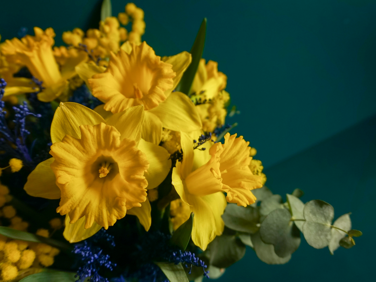 Bouquet of spring flowers 06 |