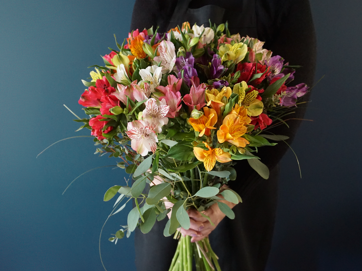 Alstromers Alstroemeria