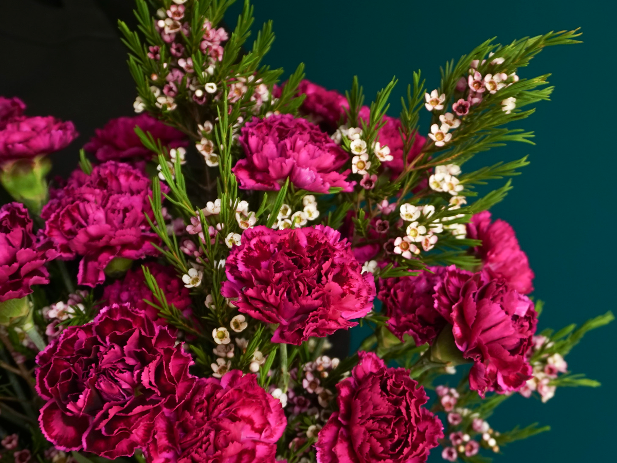 Carnation bouquet 01 |