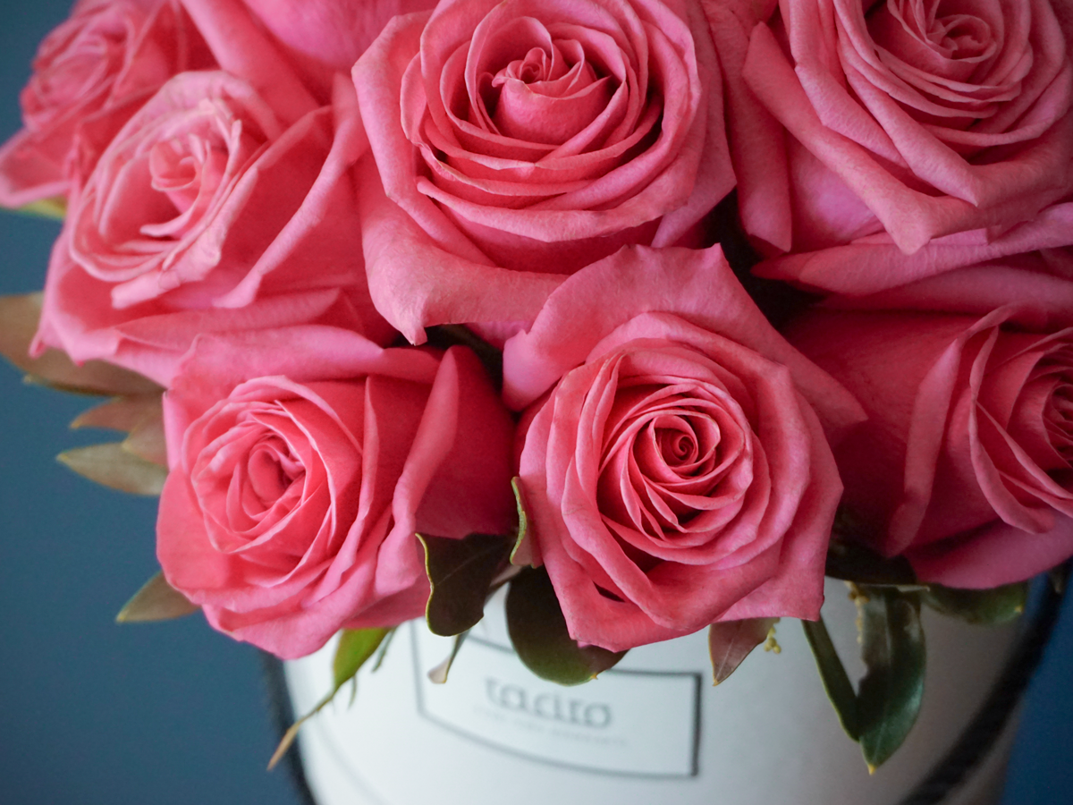Roses in a box / 02 /