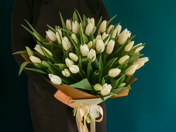 Bouquet of tulips 03 |