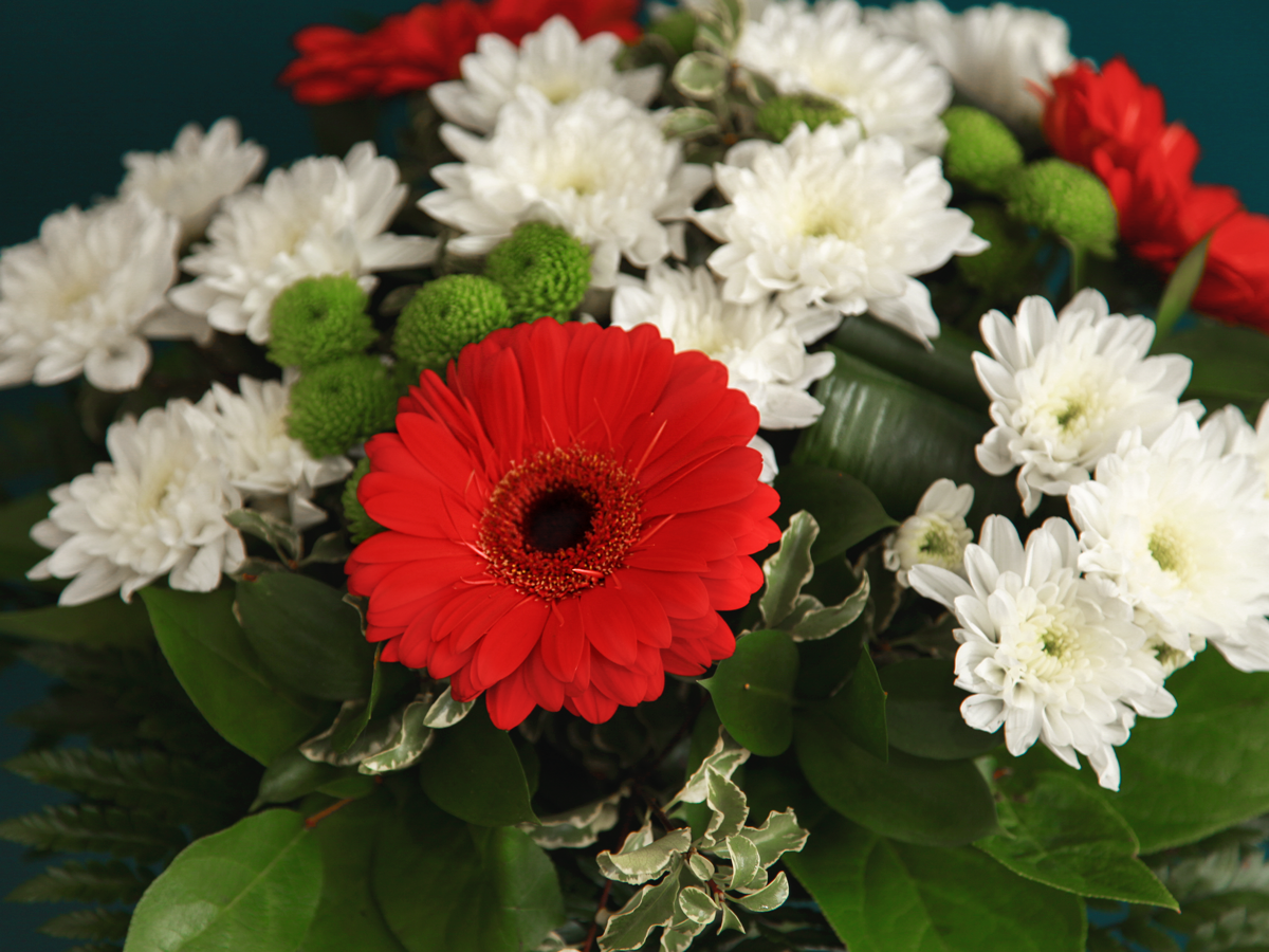 Bouquet of flowers with gerberas / 01 /