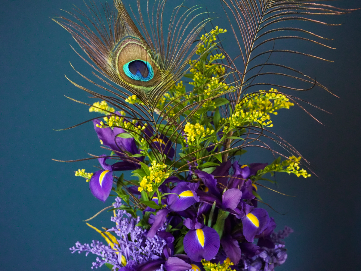 Bouquet of peacock feathers 01 | - tacito