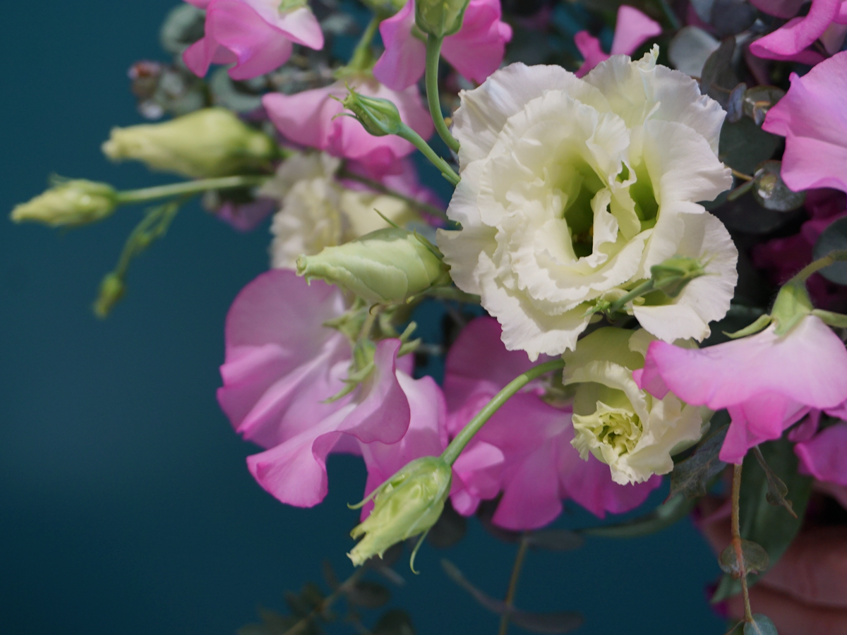 Bouquet of summer flowers 05 |