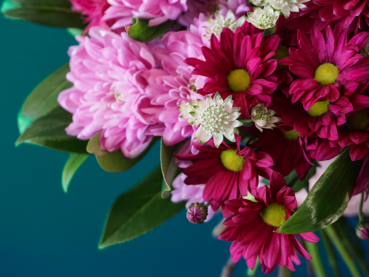 Bouquet of chrysanthemums 01 |