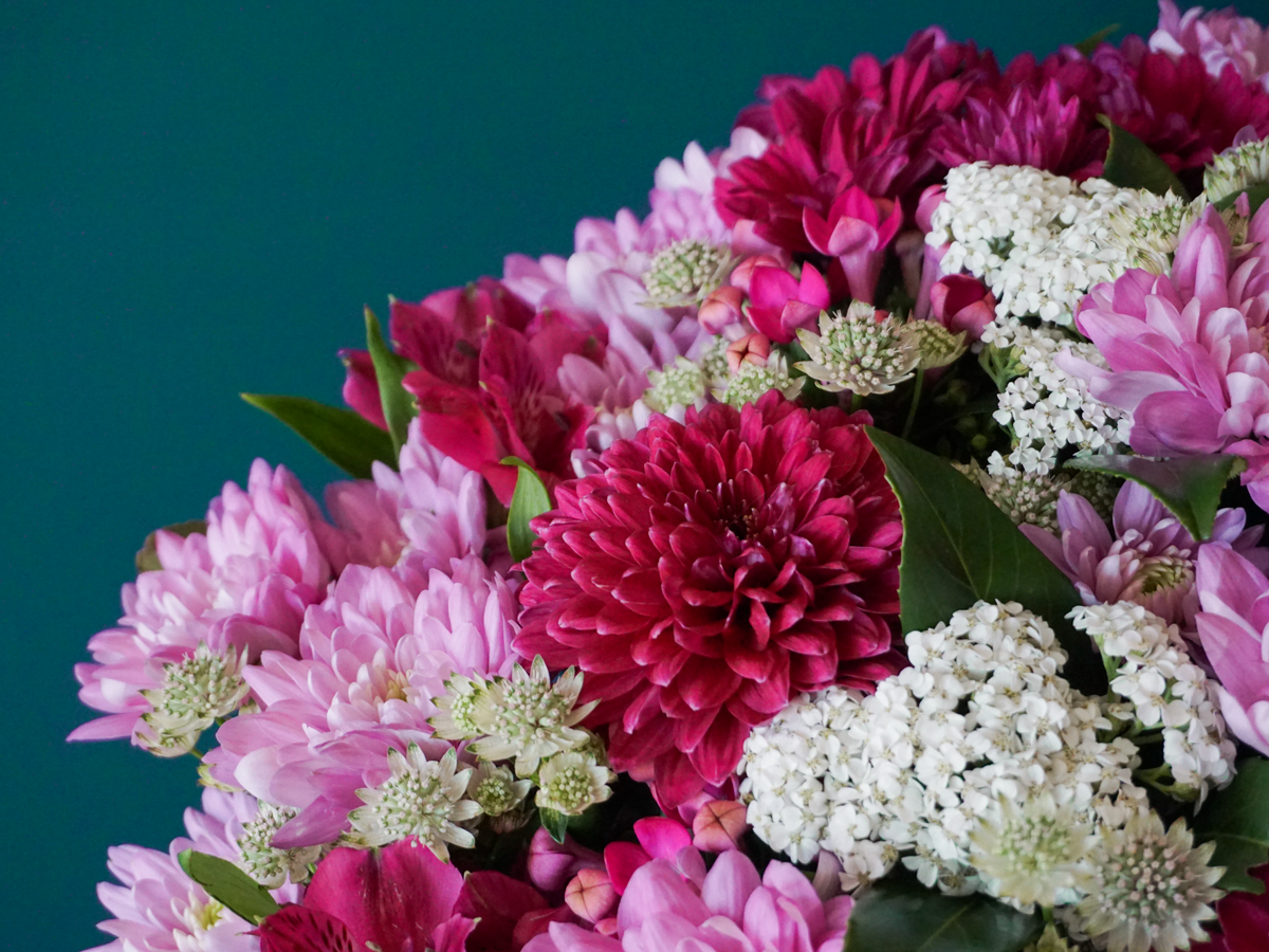 Bouquet of chrysanthemums 01 |
