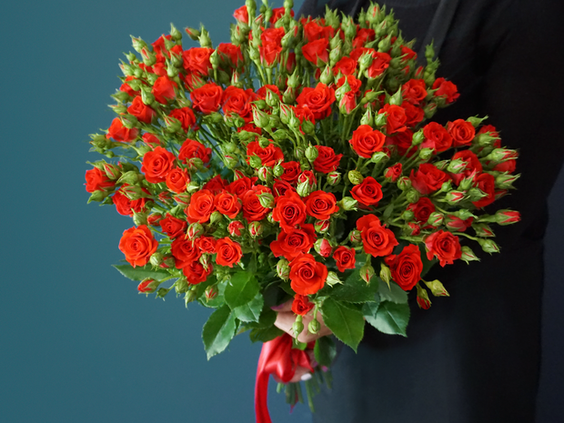 Krūmrozes | Rosa rugosa | + varianti |