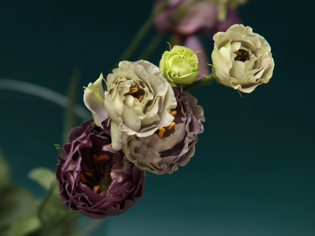 XNUMX-hour flower delivery, wide delivery of cut flowers and flower halves, wedding floristry