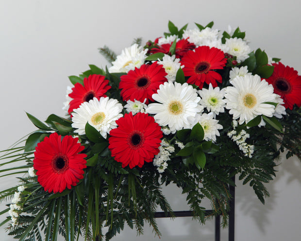 Sēru štrauss / 03 /