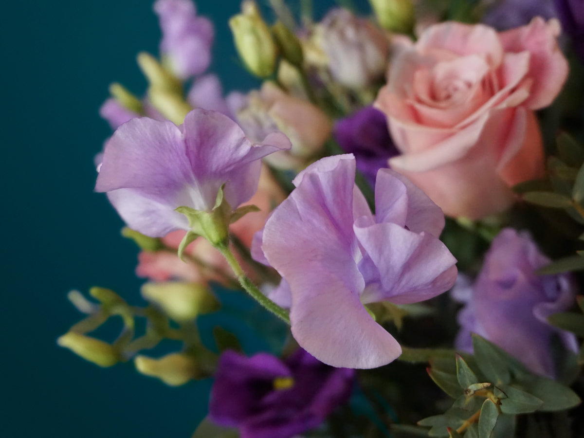 Bouquet of summer flowers 04 |